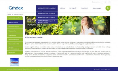 Internetinių svetainių kūrimas-Jauna Reklama